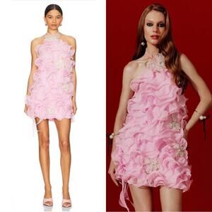 PATBO Silk Plisse Ruffle Chiffon Floral Beaded Pink Mini Dress Size 8